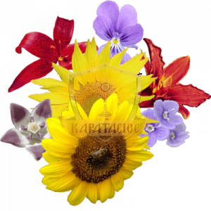 Artificial flowers-icon