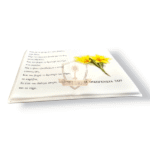 ΠΟΡΣΕΛΑΝΗ ΒΙΒΛΙΟ 27Χ38 - Image 2