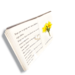 ΠΟΡΣΕΛΑΝΗ ΒΙΒΛΙΟ 27Χ38